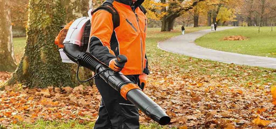 soplador de hojas stihl